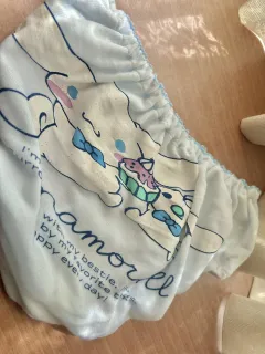 シナモロール 写真1